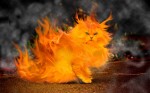 Creative Fire-Cat-3D-Wallpaper